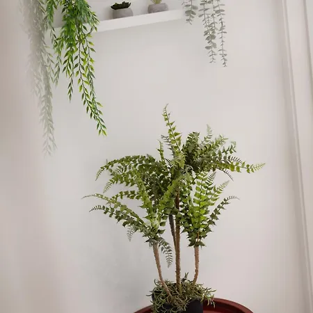 Charminn Paraiso | شقة *